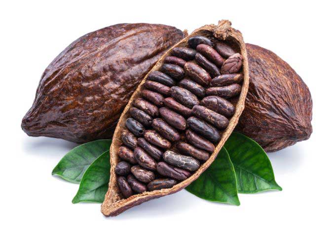 imported-cocao-beans
